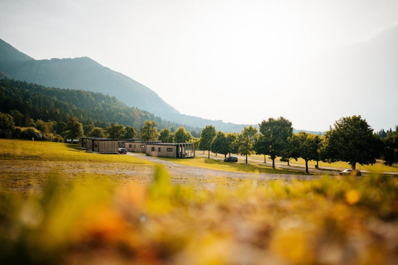 ホテル Chaletpark Petzen Feistritz ob Bleiburg エクステリア 写真